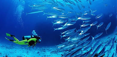 Salalah